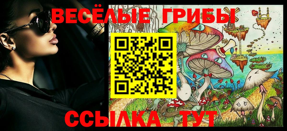Галлюциногенные грибы ЛСД Чистополь