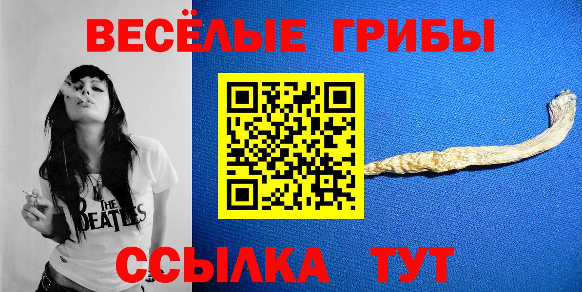 Галлюциногенные грибы Psilocybe  Галлюциногенные грибы ЛСД  Вход с VPN  Чистополь 